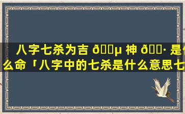 八字七杀为吉 🐵 神 🌷 是什么命「八字中的七杀是什么意思七杀有多厉害」